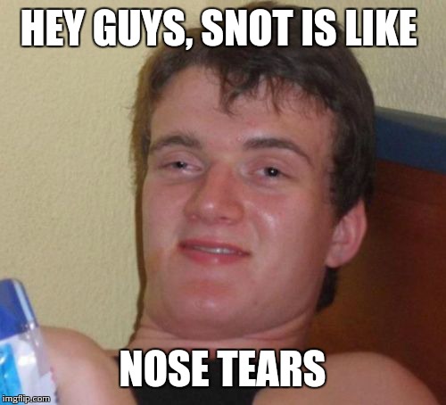 10 Guy Meme | HEY GUYS, SNOT IS LIKE; NOSE TEARS | image tagged in memes,10 guy,funny memes | made w/ Imgflip meme maker