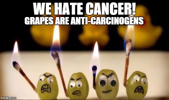 WE HATE CANCER! GRAPES ARE ANTI-CARCINOGENS | made w/ Imgflip meme maker