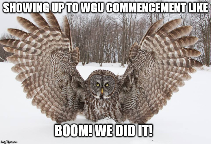 Congrats | SHOWING UP TO WGU COMMENCEMENT LIKE; BOOM! WE DID IT! | image tagged in wgu,graduation,memes | made w/ Imgflip meme maker