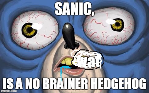 Sanic | SANIC, wat; IS A NO BRAINER HEDGEHOG | image tagged in sanic | made w/ Imgflip meme maker