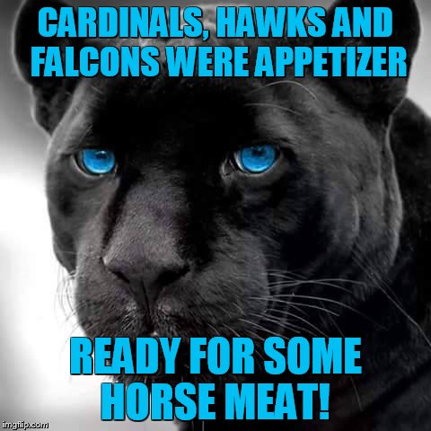 #CarolinaPanthers  | CARDINALS, HAWKS AND FALCONS WERE APPETIZER; READY FOR SOME HORSE MEAT! | image tagged in carolina panthers,super bowl 50 | made w/ Imgflip meme maker