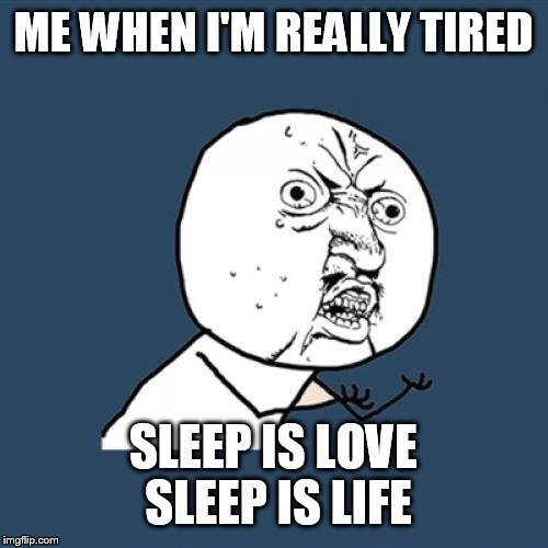 No, really  | ME WHEN I'M REALLY TIRED; SLEEP IS LOVE SLEEP IS LIFE | image tagged in memes,y u no | made w/ Imgflip meme maker