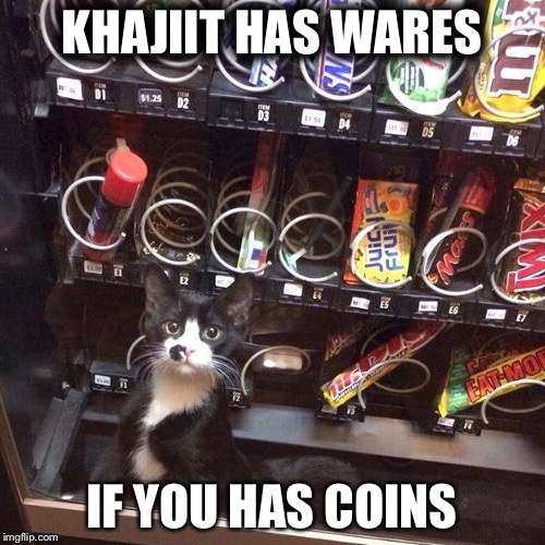 This One Needs Something? | KHAJIIT HAS WARES; IF YOU HAS COINS | image tagged in gaming,skyrim,cats,funny | made w/ Imgflip meme maker