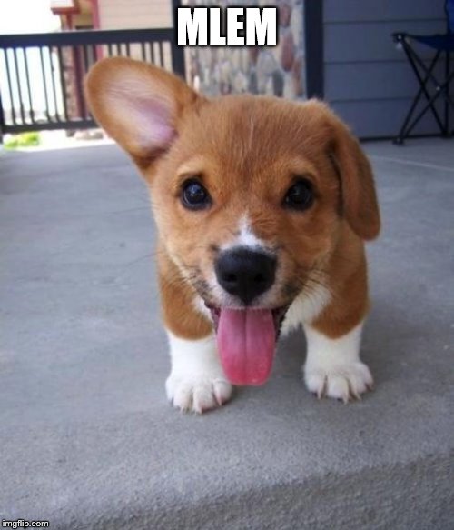 txpr-puppy | MLEM | image tagged in txpr-puppy | made w/ Imgflip meme maker