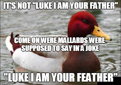 IT'S NOT "LUKE I AM YOUR FATHER" "LUKE I AM YOUR FEATHER" COME ON WERE MALLARDS WERE SUPPOSED TO SAY IN A JOKE | made w/ Imgflip meme maker