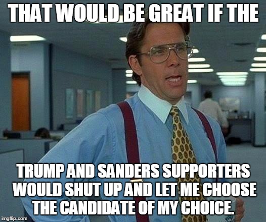 That Would Be Great Meme | THAT WOULD BE GREAT IF THE; TRUMP AND SANDERS SUPPORTERS WOULD SHUT UP AND LET ME CHOOSE THE CANDIDATE OF MY CHOICE. | image tagged in memes,that would be great | made w/ Imgflip meme maker