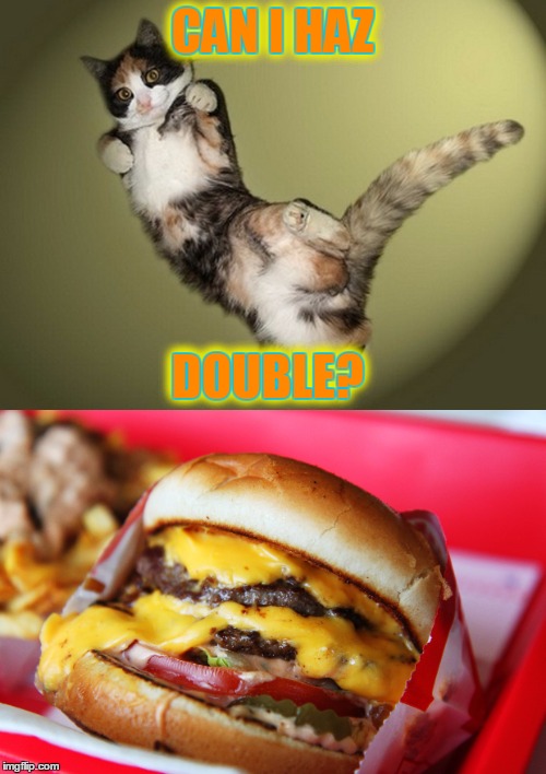 CAN I HAZ DOUBLE? CAN I HAZ DOUBLE? | made w/ Imgflip meme maker
