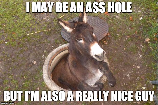 Asshole | I MAY BE AN ASS HOLE; BUT I'M ALSO A REALLY NICE GUY | image tagged in asshole | made w/ Imgflip meme maker