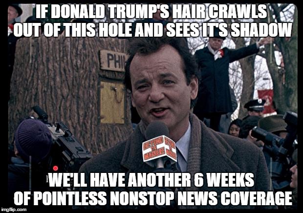 The Donald's Real Hair Makes News Predictions |  IF DONALD TRUMP'S HAIR CRAWLS OUT OF THIS HOLE AND SEES IT'S SHADOW; WE'LL HAVE ANOTHER 6 WEEKS OF POINTLESS NONSTOP NEWS COVERAGE | image tagged in it's groundhog day again,donald trumph hair,breaking news,funny,politics,political | made w/ Imgflip meme maker