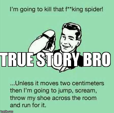 I couldn't make this better if I tried... | TRUE STORY BRO | image tagged in stayspider | made w/ Imgflip meme maker