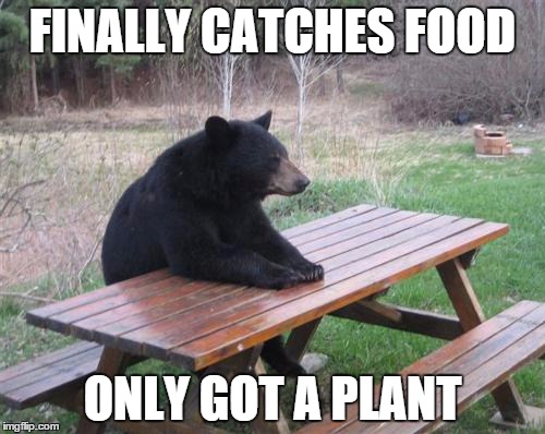 Bad Luck Bear Meme | FINALLY CATCHES FOOD; ONLY GOT A PLANT | image tagged in memes,bad luck bear | made w/ Imgflip meme maker