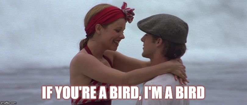 IF YOU'RE A BIRD, I'M A BIRD | image tagged in movies | made w/ Imgflip meme maker