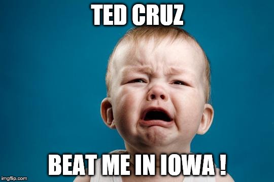 Crybaby carl | TED CRUZ; BEAT ME IN IOWA ! | image tagged in crybaby carl | made w/ Imgflip meme maker