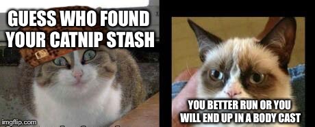grumpy cat and high cat | GUESS WHO FOUND YOUR CATNIP STASH; YOU BETTER RUN OR YOU WILL END UP IN A BODY CAST | image tagged in grumpy cat and high cat,scumbag | made w/ Imgflip meme maker