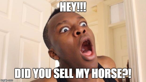 Surprised Ksi | HEY!!! DID YOU SELL MY HORSE?! | image tagged in surprised ksi | made w/ Imgflip meme maker