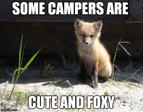 camping | SOME CAMPERS ARE; CUTE AND FOXY | image tagged in camping | made w/ Imgflip meme maker