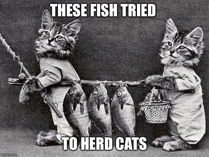 Ancient Feline Fun | THESE FISH TRIED; TO HERD CATS | image tagged in ancient feline fun | made w/ Imgflip meme maker
