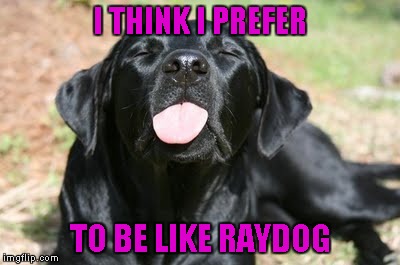I THINK I PREFER TO BE LIKE RAYDOG | made w/ Imgflip meme maker