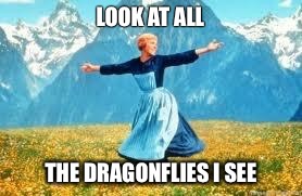 Look At All These | LOOK AT ALL; THE DRAGONFLIES I SEE | image tagged in memes,look at all these | made w/ Imgflip meme maker