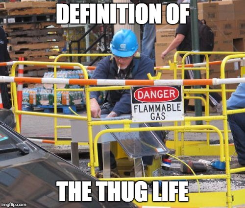  DEFINITION OF; THE THUG LIFE | image tagged in thug life,memes,bad idea | made w/ Imgflip meme maker
