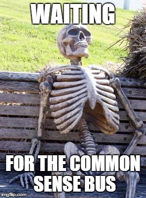 Waiting Skeleton | WAITING; FOR THE COMMON SENSE BUS | image tagged in memes,waiting skeleton | made w/ Imgflip meme maker