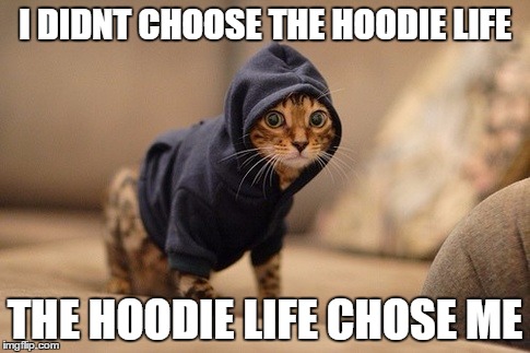 Hoody Cat | I DIDNT CHOOSE THE HOODIE LIFE; THE HOODIE LIFE CHOSE ME | image tagged in memes,hoody cat | made w/ Imgflip meme maker