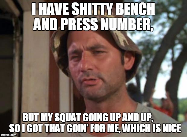 So I Got That Goin For Me Which Is Nice Meme | I HAVE SHITTY BENCH AND PRESS NUMBER, BUT MY SQUAT GOING UP AND UP,       
SO I GOT THAT GOIN' FOR ME, WHICH IS NICE | image tagged in memes,so i got that goin for me which is nice | made w/ Imgflip meme maker