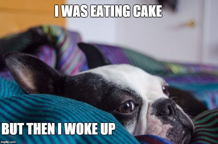 I WAS EATING CAKE; BUT THEN I WOKE UP | image tagged in xena | made w/ Imgflip meme maker