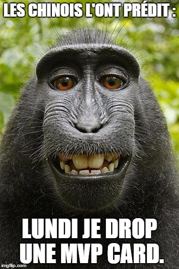 monkey selfie | LES CHINOIS L'ONT PRÉDIT :; LUNDI JE DROP UNE MVP CARD. | image tagged in monkey selfie | made w/ Imgflip meme maker
