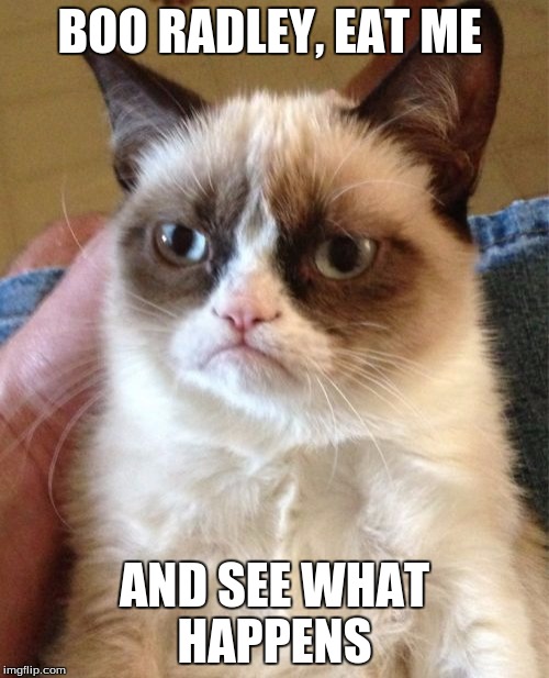 Grumpy Cat Meme | BOO RADLEY, EAT ME; AND SEE WHAT HAPPENS | image tagged in memes,grumpy cat | made w/ Imgflip meme maker