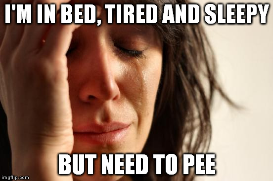 First World Problems Meme | I'M IN BED, TIRED AND SLEEPY; BUT NEED TO PEE | image tagged in memes,first world problems | made w/ Imgflip meme maker