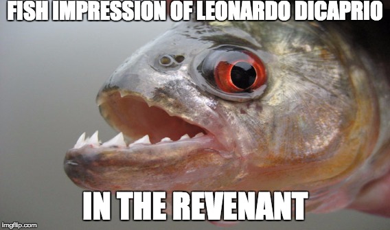 The revenant | FISH IMPRESSION OF LEONARDO DICAPRIO; IN THE REVENANT | image tagged in the revenant | made w/ Imgflip meme maker
