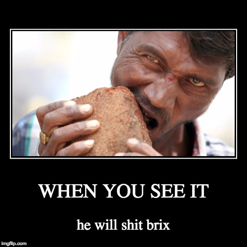 Shit Brix | image tagged in funny,demotivationals,shit,weird,brick,lolol | made w/ Imgflip demotivational maker