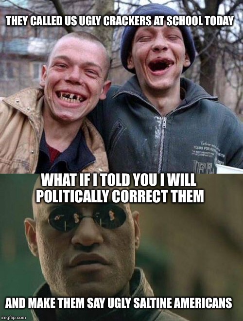 The new verb: To politically correct | THEY CALLED US UGLY CRACKERS AT SCHOOL TODAY; WHAT IF I TOLD YOU I WILL POLITICALLY CORRECT THEM; AND MAKE THEM SAY UGLY SALTINE AMERICANS | image tagged in politically correct,memes | made w/ Imgflip meme maker