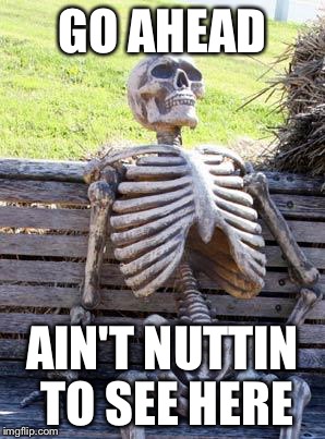 Waiting Skeleton Meme | GO AHEAD; AIN'T NUTTIN TO SEE HERE | image tagged in memes,waiting skeleton | made w/ Imgflip meme maker