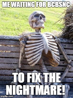 Waiting Skeleton | ME WAITING FOR BCBSNC; TO FIX THE NIGHTMARE! | image tagged in memes,waiting skeleton | made w/ Imgflip meme maker
