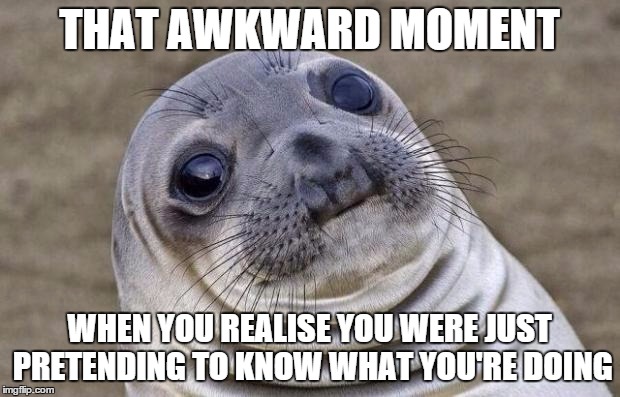Awkward Moment Sealion Meme | THAT AWKWARD MOMENT; WHEN YOU REALISE YOU WERE JUST PRETENDING TO KNOW WHAT YOU'RE DOING | image tagged in memes,awkward moment sealion | made w/ Imgflip meme maker