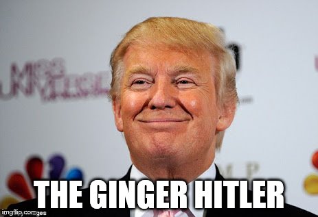 Donald trump approves | THE GINGER HITLER | image tagged in donald trump approves | made w/ Imgflip meme maker