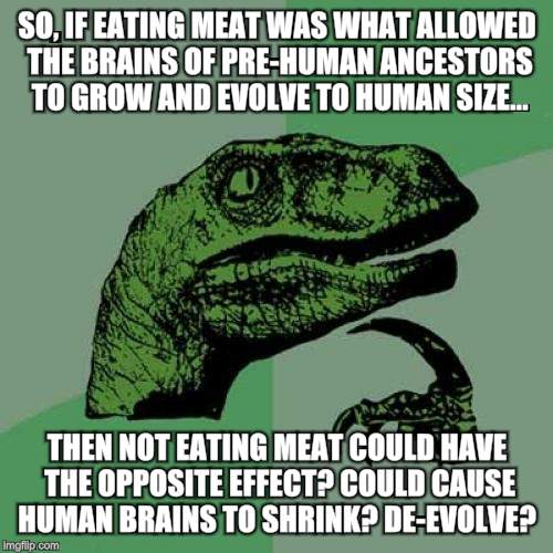 Philosoraptor | SO, IF EATING MEAT WAS WHAT ALLOWED THE BRAINS OF PRE-HUMAN ANCESTORS TO GROW AND EVOLVE TO HUMAN SIZE... THEN NOT EATING MEAT COULD HAVE THE OPPOSITE EFFECT? COULD CAUSE HUMAN BRAINS TO SHRINK? DE-EVOLVE? | image tagged in memes,philosoraptor | made w/ Imgflip meme maker