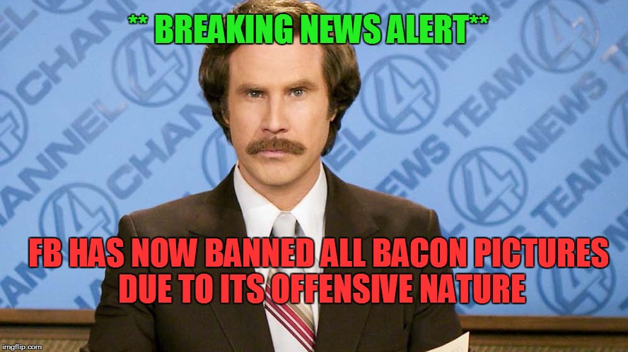 bacon ban | ** BREAKING NEWS ALERT**; FB HAS NOW BANNED ALL BACON PICTURES DUE TO ITS OFFENSIVE NATURE | image tagged in bacon,ron burgundy | made w/ Imgflip meme maker