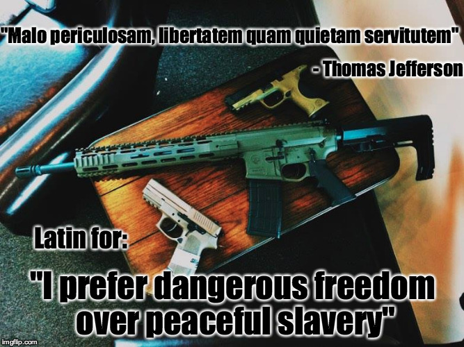 Thomas Jefferson Quote | "Malo periculosam, libertatem quam quietam servitutem"; - Thomas Jefferson; Latin for:; "I prefer dangerous freedom over peaceful slavery" | image tagged in danger,freedom,peaceful,slavery,guns | made w/ Imgflip meme maker