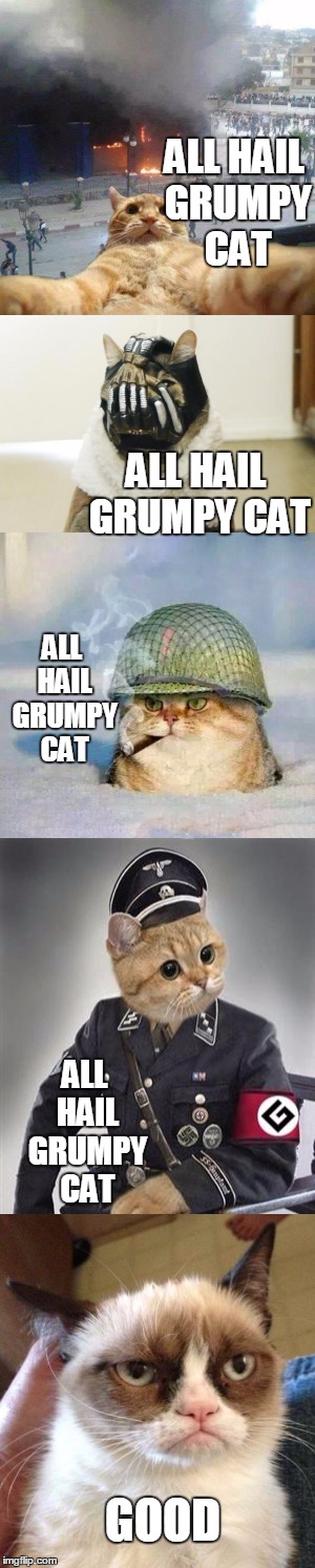 the official grumpy cat fan club | ALL HAIL GRUMPY CAT; ALL HAIL GRUMPY CAT; ALL HAIL GRUMPY CAT; ALL HAIL GRUMPY CAT; GOOD | image tagged in grumpy cat reverse,funny memes,funny cats | made w/ Imgflip meme maker