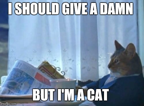 I Should Buy A Boat Cat Meme | I SHOULD GIVE A DAMN; BUT I'M A CAT | image tagged in memes,i should buy a boat cat | made w/ Imgflip meme maker