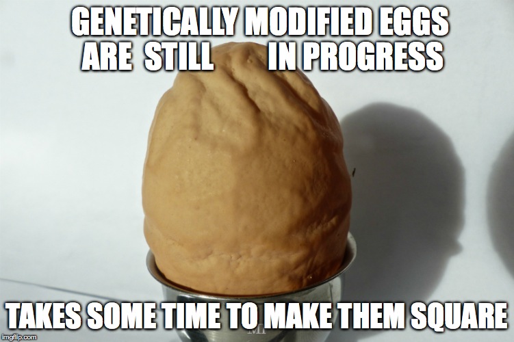GENETICALLY MODIFIED EGGS ARE 
STILL         IN PROGRESS; TAKES SOME TIME TO MAKE THEM SQUARE | image tagged in modified | made w/ Imgflip meme maker