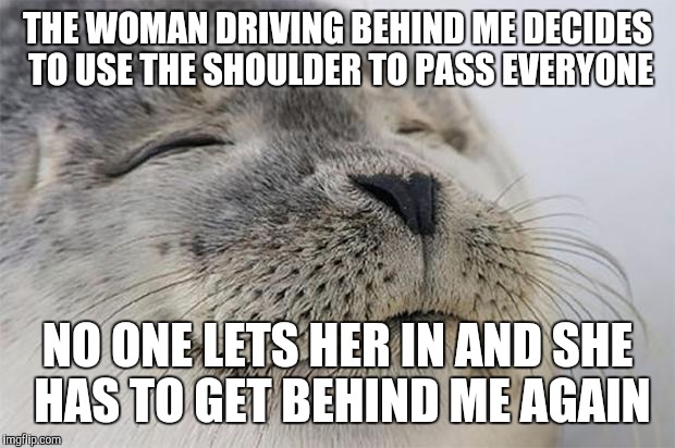 Satisfied Seal | THE WOMAN DRIVING BEHIND ME DECIDES TO USE THE SHOULDER TO PASS EVERYONE; NO ONE LETS HER IN AND SHE HAS TO GET BEHIND ME AGAIN | image tagged in memes,satisfied seal,AdviceAnimals | made w/ Imgflip meme maker