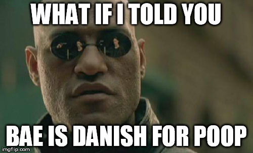 Matrix Morpheus Meme | WHAT IF I TOLD YOU BAE IS DANISH FOR POOP | image tagged in memes,matrix morpheus | made w/ Imgflip meme maker