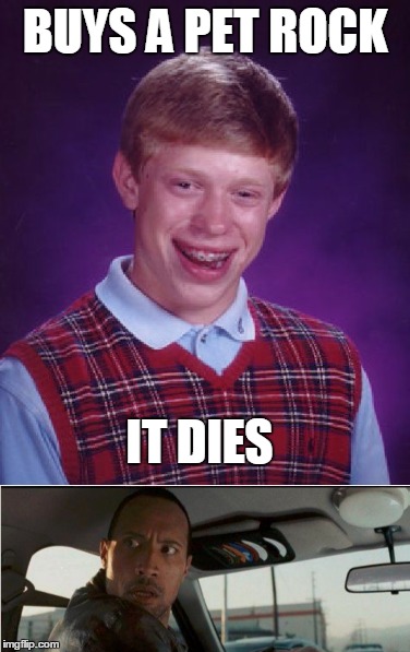 The rock is getting sick of Brian's bad luck rubbing off on him... | BUYS A PET ROCK; IT DIES | image tagged in the rock,bad luck brian | made w/ Imgflip meme maker