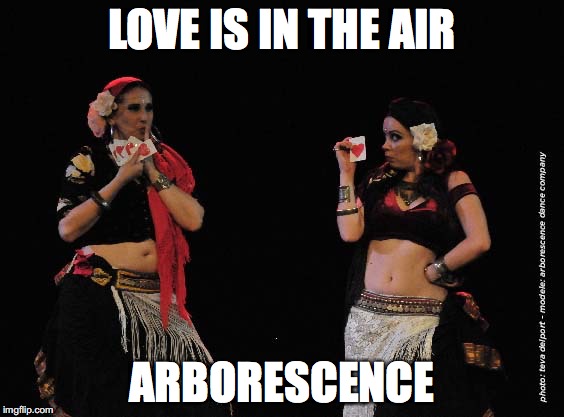 LOVE IS IN THE AIR; ARBORESCENCE | image tagged in love is in the air | made w/ Imgflip meme maker