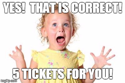 Excited | YES!  THAT IS CORRECT! 5 TICKETS FOR YOU! | image tagged in excited | made w/ Imgflip meme maker