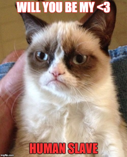 grumpy valentine | WILL YOU BE MY <3; HUMAN SLAVE | image tagged in memes,grumpy cat | made w/ Imgflip meme maker